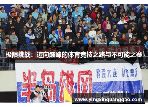 极限挑战：迈向巅峰的体育竞技之路与不可能之赛